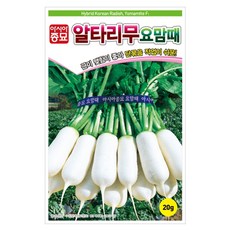 아시아종묘 요맘때 알타리무 씨앗 20g, 1개