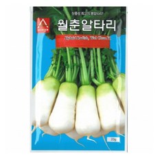 아시아종묘 월춘 알타리무 씨앗 20g, 1개