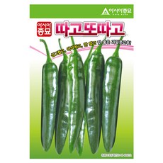 아시아종묘 고추 따고또따고 씨앗 30p, 1개