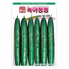 아시아종묘 녹야청청 오이 씨앗 40p, 1개