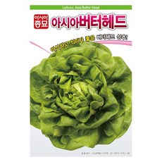 아시아종묘 아시아버터헤드 상추 씨앗 100p, 1개