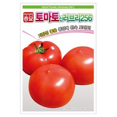 아시아종묘 신러브리 256 토마토 씨앗 20p, 1개