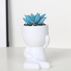 Himroom 簡約多肉植物花瓶 款式1, 白色