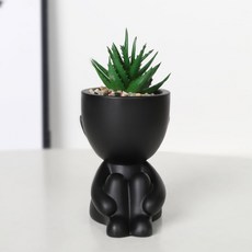 Him Room 簡約多肉植物花瓶 款式1, 黑色