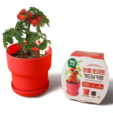 메이크정글 빅 가드닝 키트 식물 키우기, 방울토마토