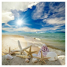 Taminayo 療癒系DIY數字油畫 40 x 50 cm, 1個, 陽光沙灘