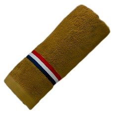 SHING LONG TEXTILE 台灣興隆毛巾 魔法學院抗臭防霉毛巾, 咖色, 1條