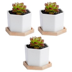 그린허그 세라믹 다육이 화분 + 받침 세트 육각, 3개