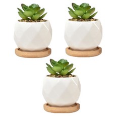 Green Hug 陶瓷多肉植物花盆 + 託盤組 大鑽石, 單一顏色, 3套