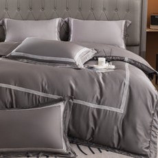 Aaron艾倫生活家 素色刺繡系列 頂級60支100%萊賽爾天絲TM兩用被床包4件組