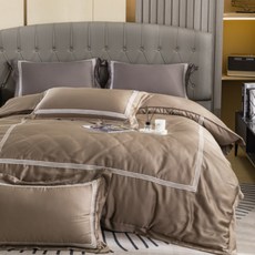 Aaron 艾倫生活家 素色刺繡系列 頂級60支100%萊賽爾天絲TM兩用被床包4件組