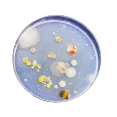 Science Mall 一般細菌 + 黴菌培養皿製作 化學實驗組, 1組