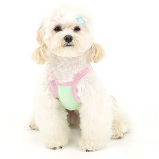 KINI KINI 寵物 Twinkle Chichi 短版上衣, 1個, 綠色