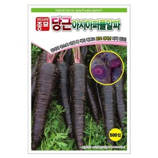 아시아종묘 당근 아시아 퍼플 알파 씨앗 500립, 1개