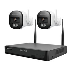 DTAudio 無線監控攝影套組 不含硬碟 500萬像素 固定攝影機 2顆 + NVR主機, CIPC-C01, 1組