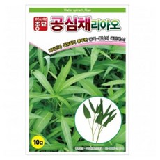 아시아종묘 공심채리아오 씨앗 10g, 1개
