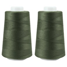 40支2股 縫紉線, 2個, 16 卡其色