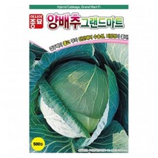 아시아종묘 양배추 그랜드마트 씨앗 500립, 1개