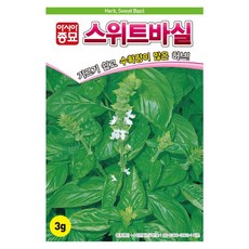 아시아종묘 스위트바실 허브 바질 씨앗 3g, 1개