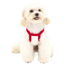 KINI KINI 寵物Swag Coby短版上衣, 紅色, 1個