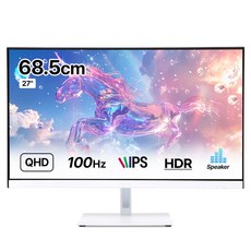 인터픽셀 QHD IPS 컴퓨터 모니터 화이트 100Hz, 68.5cm, IPQ2726(일반)
