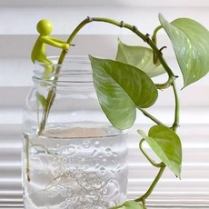 루벤코 미니 인테리어 장식품 식물 지지대 노란색, 1개