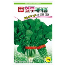 아시아종묘 열무 새바람 씨앗 20g, 1개