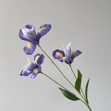 원더나인 조화 아이리스 웨딩 조화, 퍼플 블루, 1개