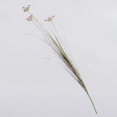 Wonder Nine 人造花 咖啡廳風格 蘆葦裝飾 人造花 120cm, 3莖 粉紅色, 1個