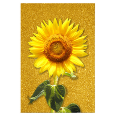 마켓링 풍수 인테리어그림 해바라기 타입3, 무테