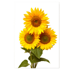 마켓링 풍수 인테리어그림 해바라기 타입1, 무테