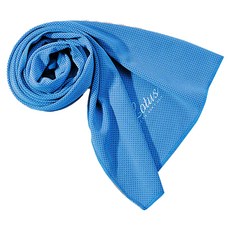 Lotus COZY FITNESS SERIES 透氣降溫涼感運動毛巾, 藍色, 1條