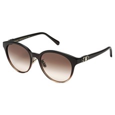 Salvatore Ferragamo 菲拉格慕 男女通用太陽眼鏡 SF1097SLBK