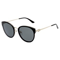 Salvatore Ferragamo 菲拉格慕 太陽眼鏡 SF255SK