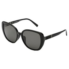 Salvatore Ferragamo 菲拉格慕 太陽眼鏡 SF2053SLBK