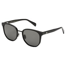 Salvatore Ferragamo 菲拉格慕 太陽眼鏡 SF2056SLBK