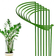 앙플랜트 철제 반원 원형 식물지지대, 6개