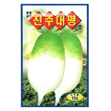 동원농산종묘 진주 대평무 씨앗, 진주대평무, 1개