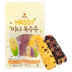 해씨 미니 옥수수 2p, 2개, 60g