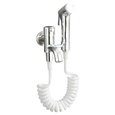 馬桶噴槍軟管組 金屬噴漆款, 銀色