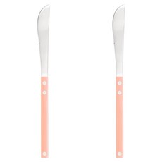 Bogen Saintier 餐具系列 餐刀 銀色, 2個, 蜜桃色