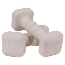 스케쳐스 플로우 사각 아령 덤벨 2p, 1.5kg, 1세트