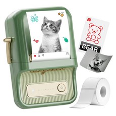 NIIMBOT Sinolink 300dpi 標籤印表機 + 標籤紙套組, 1套, B21PRO(深綠色)