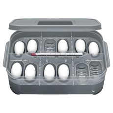 레몽크리프 파충류 부화기, 혼합색상, 1개