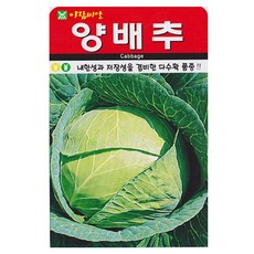 아람종묘 양배추 씨앗, 1개