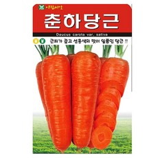 아람종묘 춘하당근 씨앗, 1개 1개