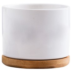 小麥購物 白瓷多肉花盆 中 含竹托 L253, 1個, 白色