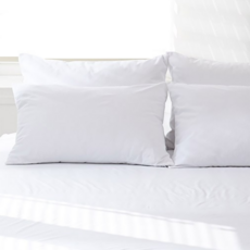 PROTECT-A-BED 防過敏拉鍊防水枕頭套