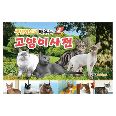 생생화보로 배우는 고양이 사전 보급판, 굿키즈북스, 콘텐츠랩