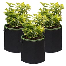 파파가든 부직포화분 20L, 블랙(녹색 박음질), 3개